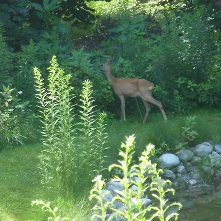 Kathreinkogel - 4 Sterne Zertifiziert Feriehus Schiefling am See