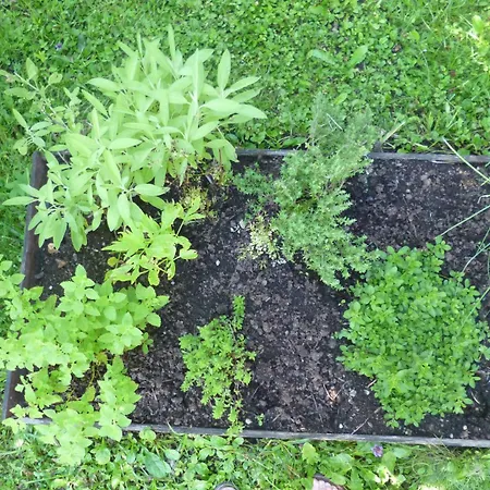 Kathreinkogel - 4 Sterne Zertifiziert Hébergement de vacances Schiefling am See