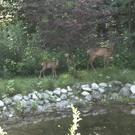 Kathreinkogel - 4 Sterne Zertifiziert Feriehus Schiefling am See