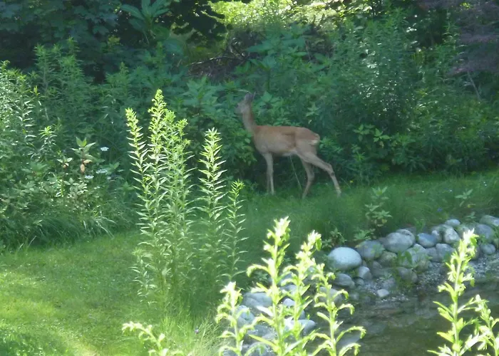 Kathreinkogel - 4 Sterne Zertifiziert Dom wakacyjny Schiefling am See