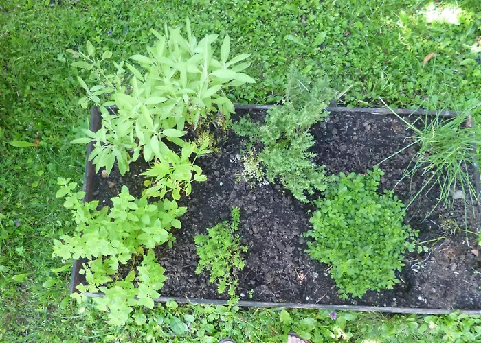 Kathreinkogel - 4 Sterne Zertifiziert Dom wakacyjny Schiefling am See