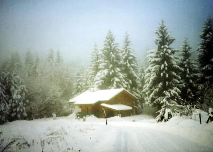 Kathreinkogel - 4 Sterne Zertifiziert Dom wakacyjny Schiefling am See