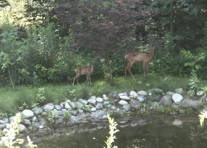 Kathreinkogel - 4 Sterne Zertifiziert Dom wakacyjny Schiefling am See